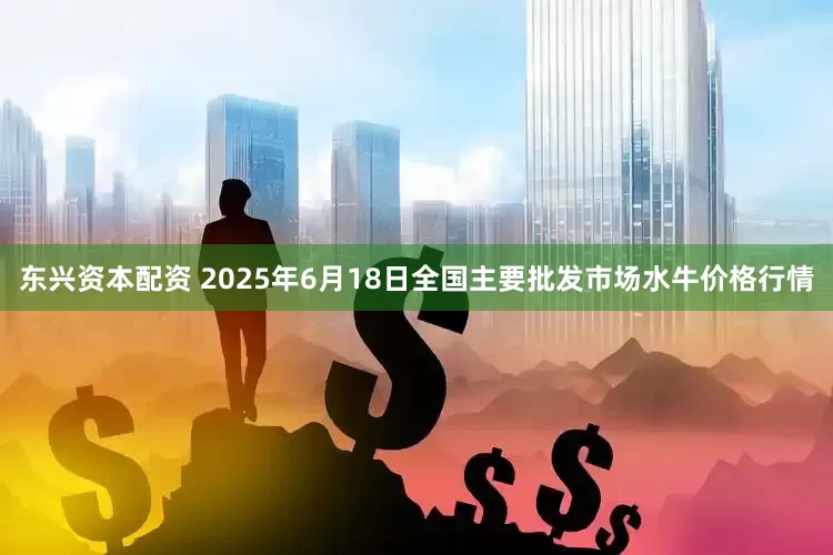 东兴资本配资 2025年6月18日全国主要批发市场水牛价格行情