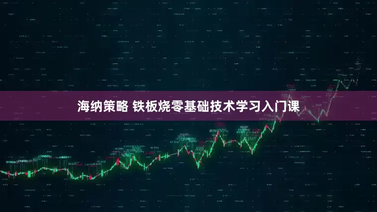海纳策略 铁板烧零基础技术学习入门课