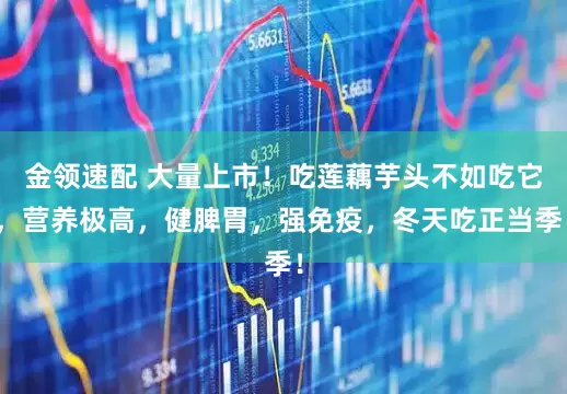 金领速配 大量上市！吃莲藕芋头不如吃它，营养极高，健脾胃，强免疫，冬天吃正当季！