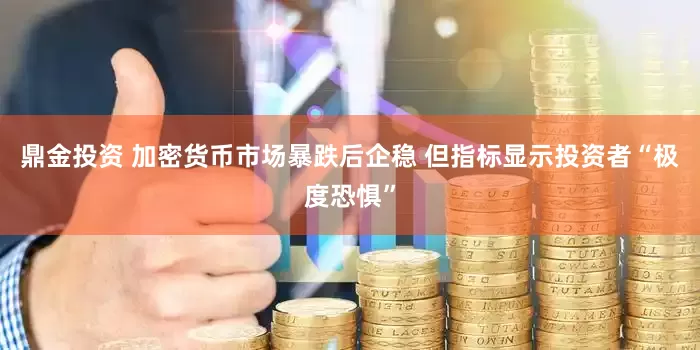鼎金投资 加密货币市场暴跌后企稳 但指标显示投资者“极度恐惧”
