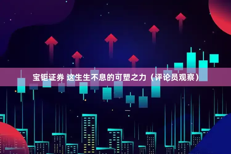 宝钜证券 这生生不息的可塑之力（评论员观察）